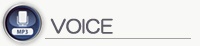 voice icon